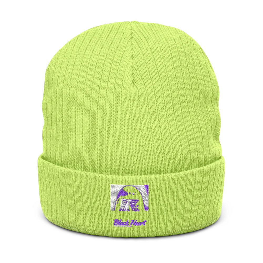 Ribbed Knit Beanie | Atlantis