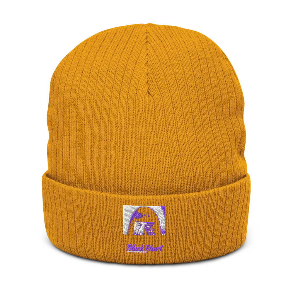 Ribbed Knit Beanie | Atlantis